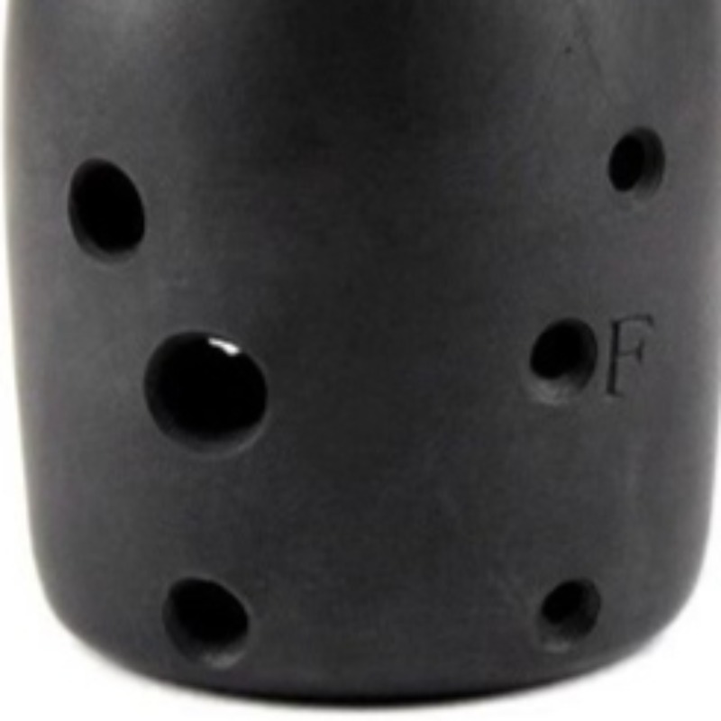8 Hole Musical Xun Professiona - đánh giá và giá Musical Instrument Xun