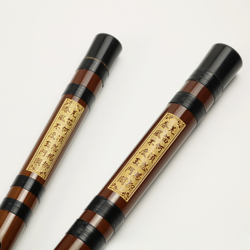 Chuyên Nghiệp Chơi Đắng Sáo Tr - đánh giá và giá Musical Instrument Ending In A