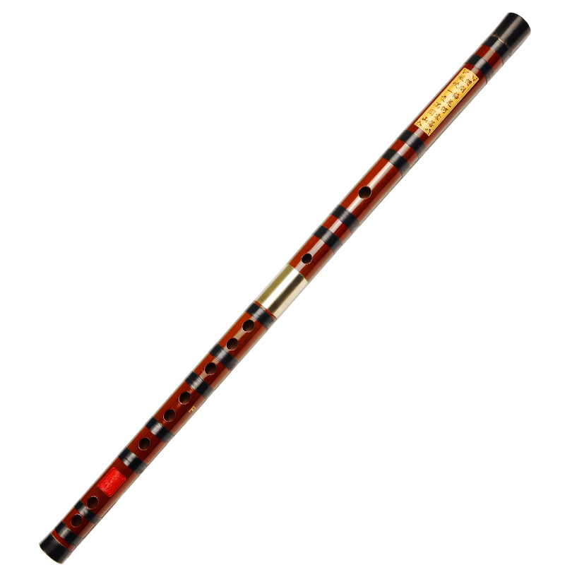 Chuyên Nghiệp Chơi Đắng Sáo Tr - đánh giá và giá Musical Instrument Ending In A