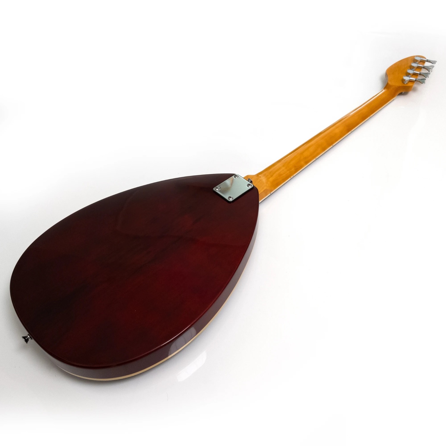4 Strings Semi Hollow Body Ele - đánh giá và giá Bass Guitar Fretless