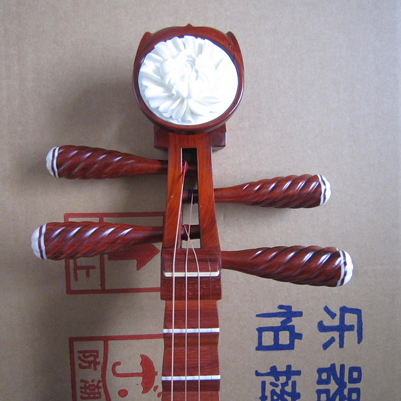 Professional Rosewood Pipa, Hi - đánh giá và giá Musical Instrument Ending In A