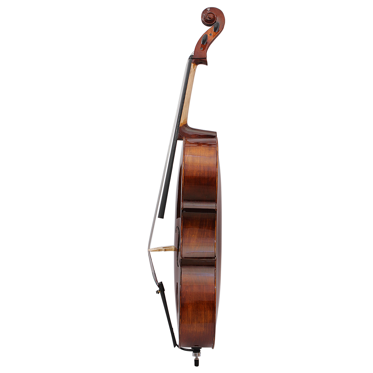 Professional Foreign Trade Exp - đánh giá và giá Musical Instrument Cello