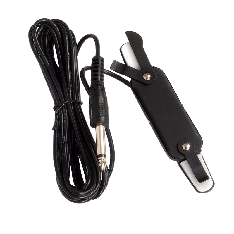 Professional Classic Acoustic  - đánh giá và giá Musical Instrument Amplifier