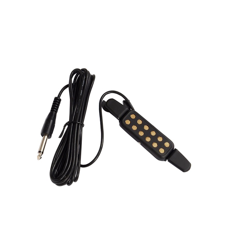 Professional Classic Acoustic  - đánh giá và giá Musical Instrument Amplifier