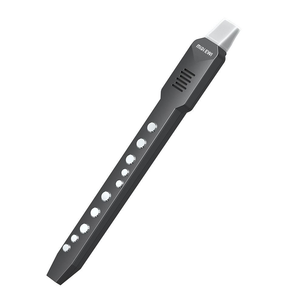 Small Transverse Flute Electro - đánh giá và giá Musical Instrument Theremin