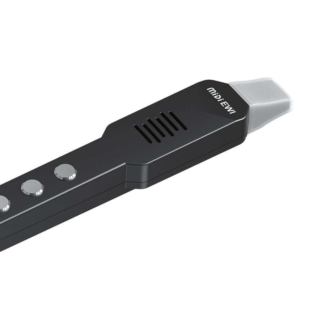 Small Transverse Flute Electro - đánh giá và giá Musical Instrument Theremin